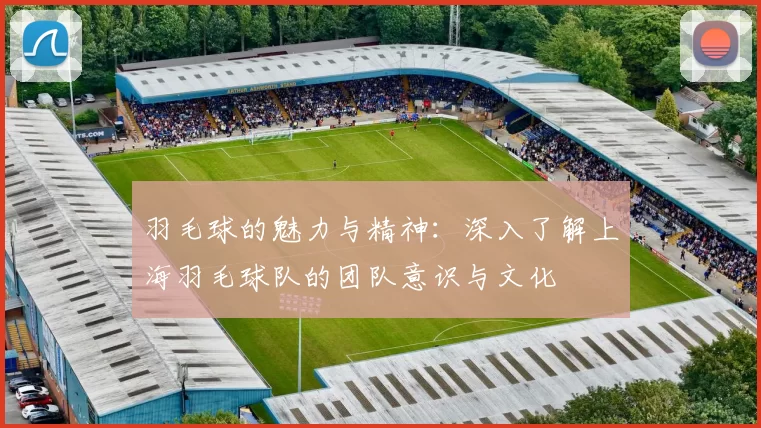 羽毛球的魅力与精神：深入了解上海羽毛球队的团队意识与文化