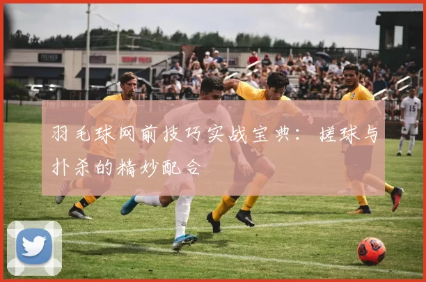 羽毛球网前技巧实战宝典：搓球与扑杀的精妙配合