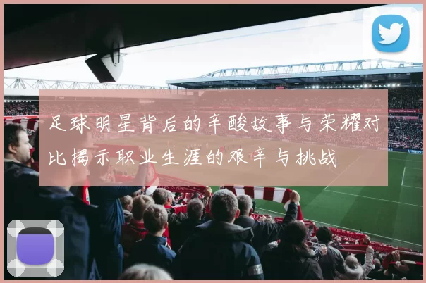 足球明星背后的辛酸故事与荣耀对比揭示职业生涯的艰辛与挑战