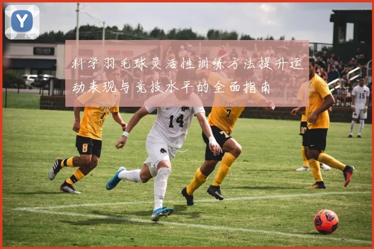 科学羽毛球灵活性训练方法提升运动表现与竞技水平的全面指南