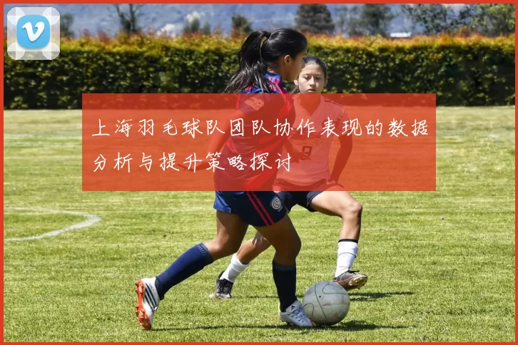 上海羽毛球队团队协作表现的数据分析与提升策略探讨