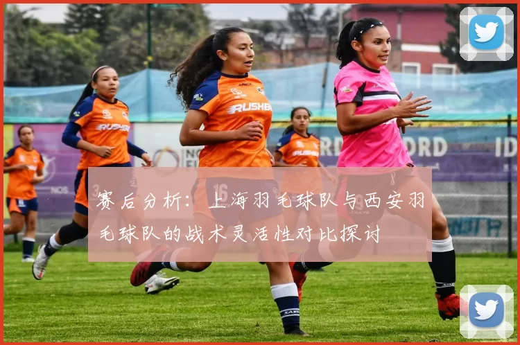 赛后分析：上海羽毛球队与西安羽毛球队的战术灵活性对比探讨