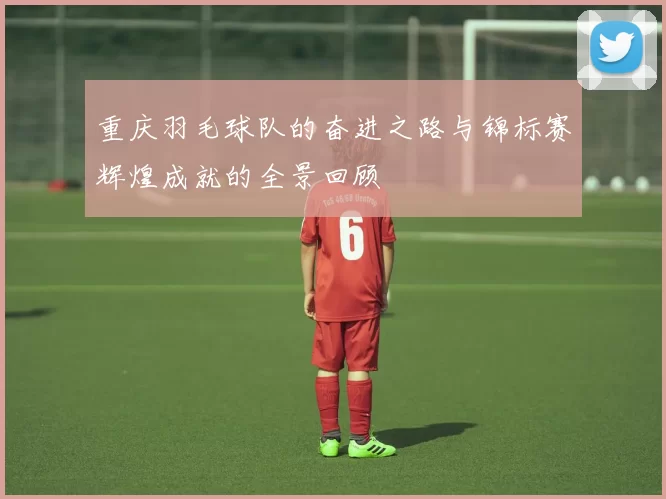 重庆羽毛球队的奋进之路与锦标赛辉煌成就的全景回顾