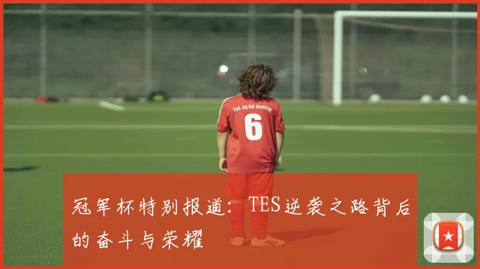 冠军杯特别报道：TES逆袭之路背后的奋斗与荣耀