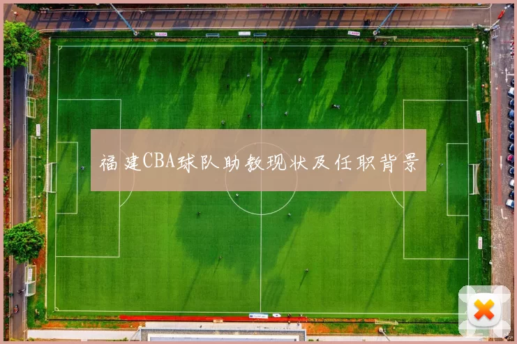 福建CBA球队助教现状及任职背景