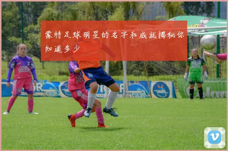 蒙特足球明星的名字和成就揭秘你知道多少