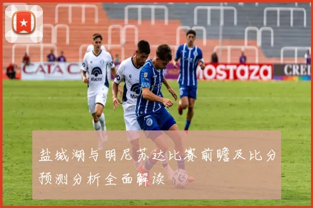 盐城湖与明尼苏达比赛前瞻及比分预测分析全面解读