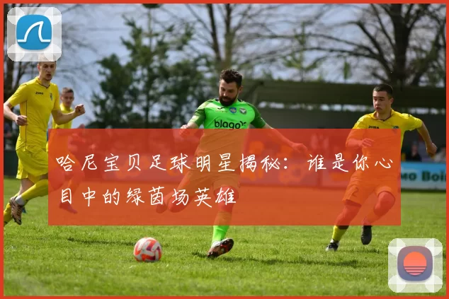 哈尼宝贝足球明星揭秘：谁是你心目中的绿茵场英雄