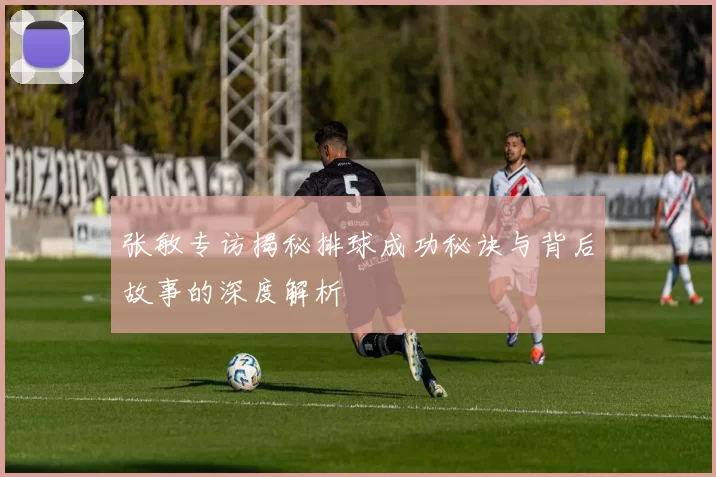 张敏专访揭秘排球成功秘诀与背后故事的深度解析