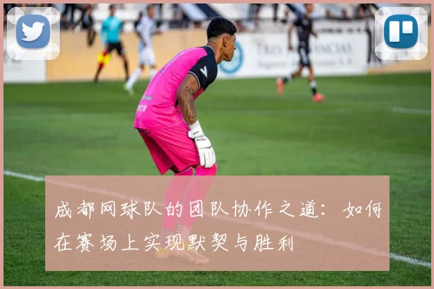 成都网球队的团队协作之道：如何在赛场上实现默契与胜利