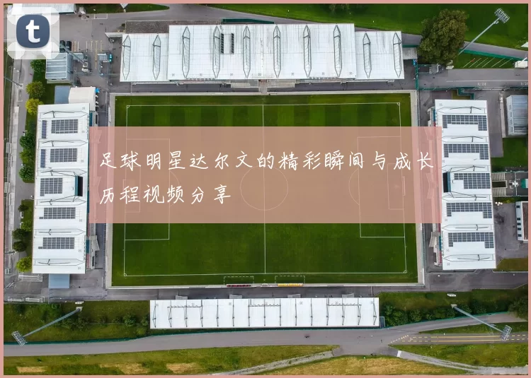足球明星达尔文的精彩瞬间与成长历程视频分享