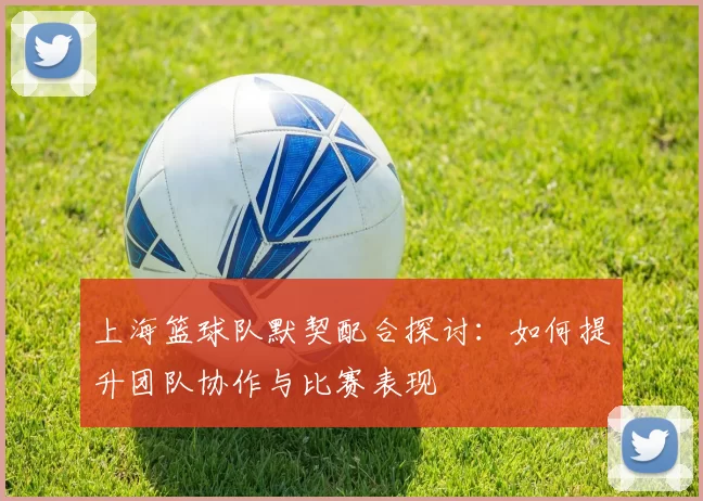 上海篮球队默契配合探讨：如何提升团队协作与比赛表现