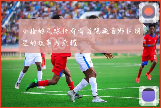 小猪的足球传奇背后隐藏着哪位明星的故事与荣耀