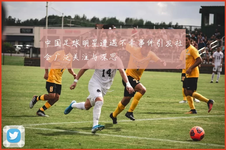 中国足球明星遭遇不幸事件引发社会广泛关注与深思