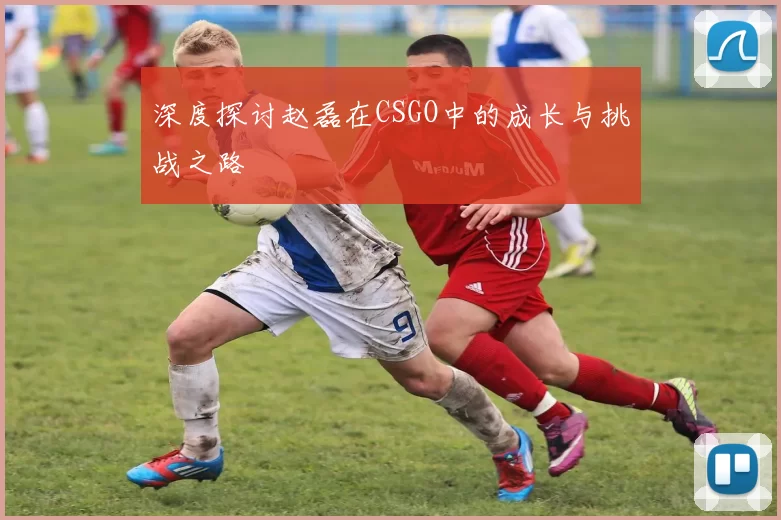 深度探讨赵磊在CSGO中的成长与挑战之路