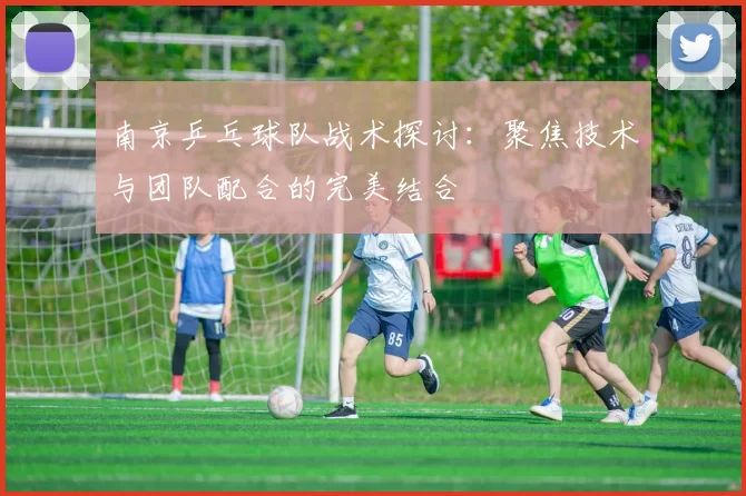 南京乒乓球队战术探讨：聚焦技术与团队配合的完美结合