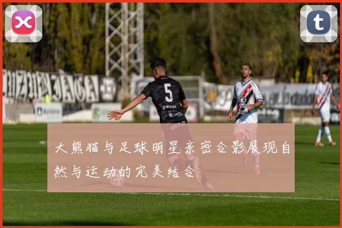 大熊猫与足球明星亲密合影展现自然与运动的完美结合