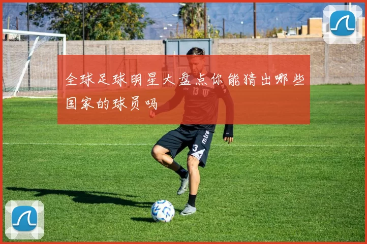 全球足球明星大盘点你能猜出哪些国家的球员吗